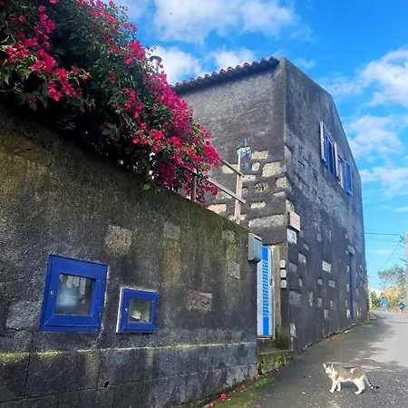 アパート Mar - Boutique Garden Ocean View In The Countryside - Pilar ポンタ・デルガダ