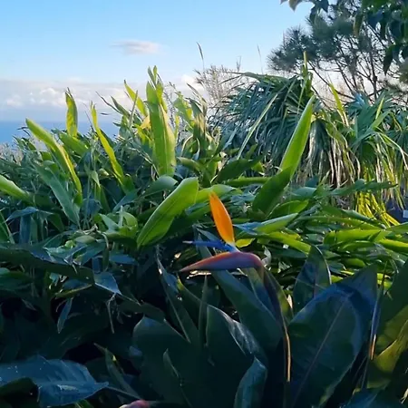 アパート Mar - Boutique Garden Ocean View In The Countryside - Pilar ポンタ・デルガダ