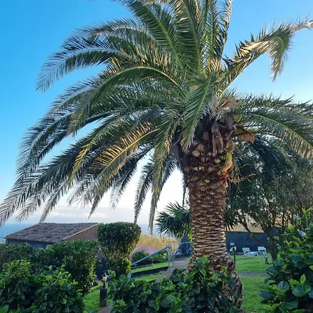 Apartment Pilar Mar - Rural In The Countryside Of Sao Miguel Ponta Delgada (Sao Miguel)
