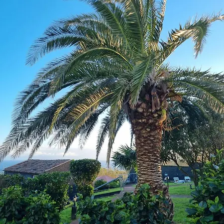 公寓 Mar - Boutique Garden Ocean View In The Countryside - Pilar 蓬塔德尔加达