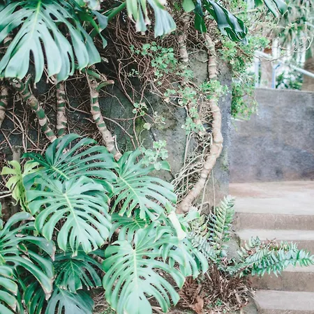 Mar - Boutique Garden Ocean View In The Countryside - Pilar * 蓬塔德尔加达