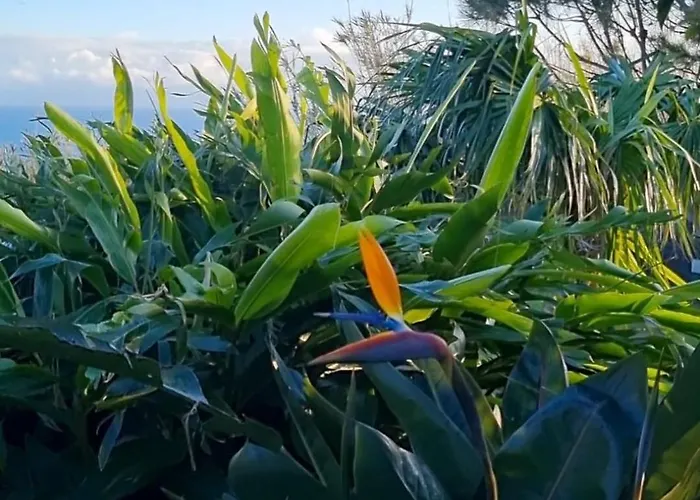 아파트 Mar - Boutique Garden Ocean View In The Countryside - Pilar Ponta Delgada