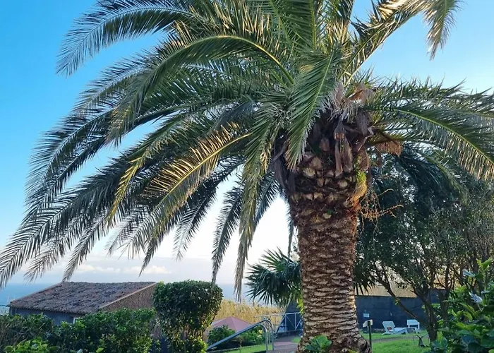 Apartman Mar - Boutique Garden Ocean View In The Countryside - Pilar Ponta Delgada