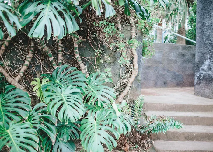 Mar - Boutique Garden Ocean View In The Countryside - Pilar * Ponta Delgada